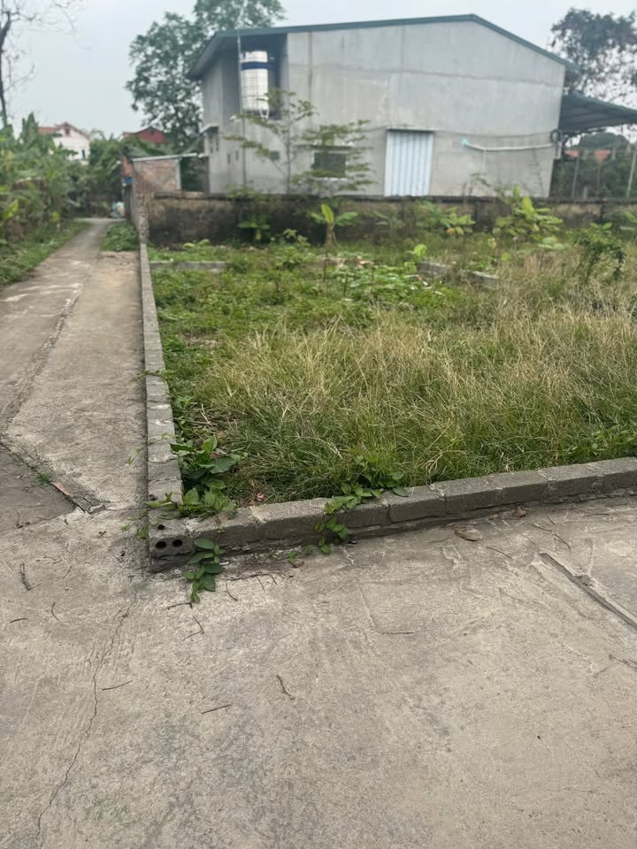 Đất nền lô góc tại thôn Ninh Tập, Hưng Yên 60m² giá chỉ 1 tỷ - Cơ hội đầu tư tuyệt vời!