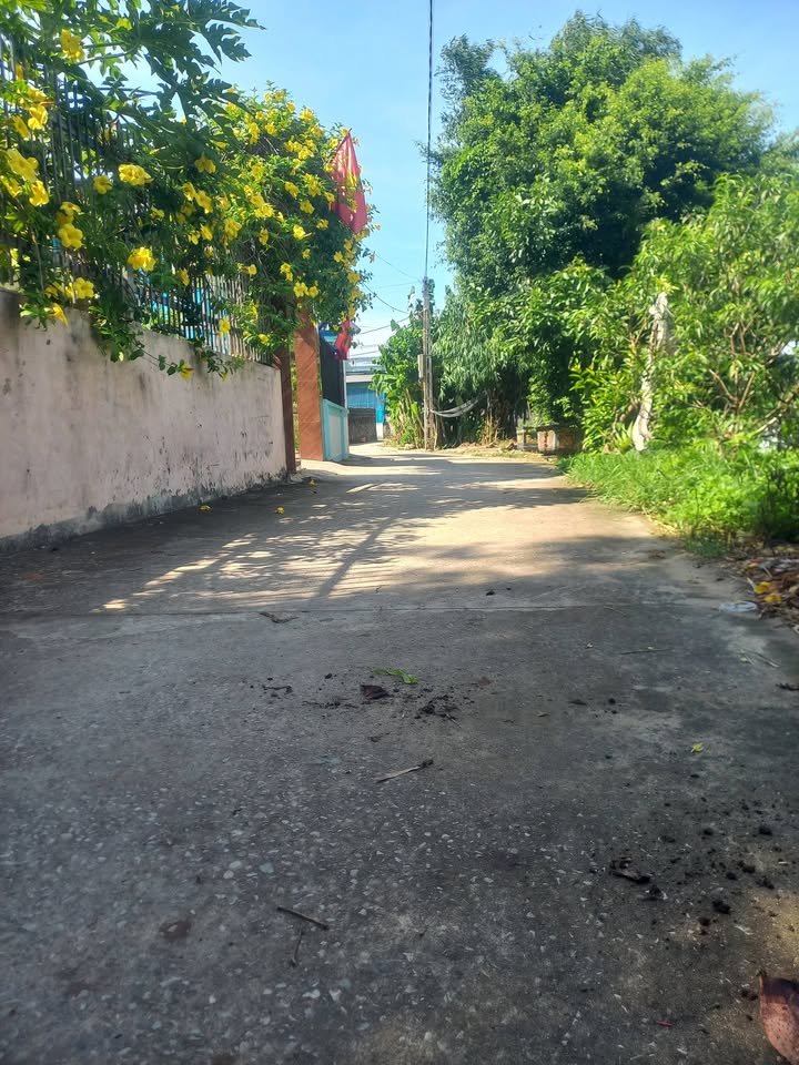 Đất ODT 154,9m² thôn Thanh Bình, phường Ngọc Sơn, giá 900 triệu - Cần bán gấp!