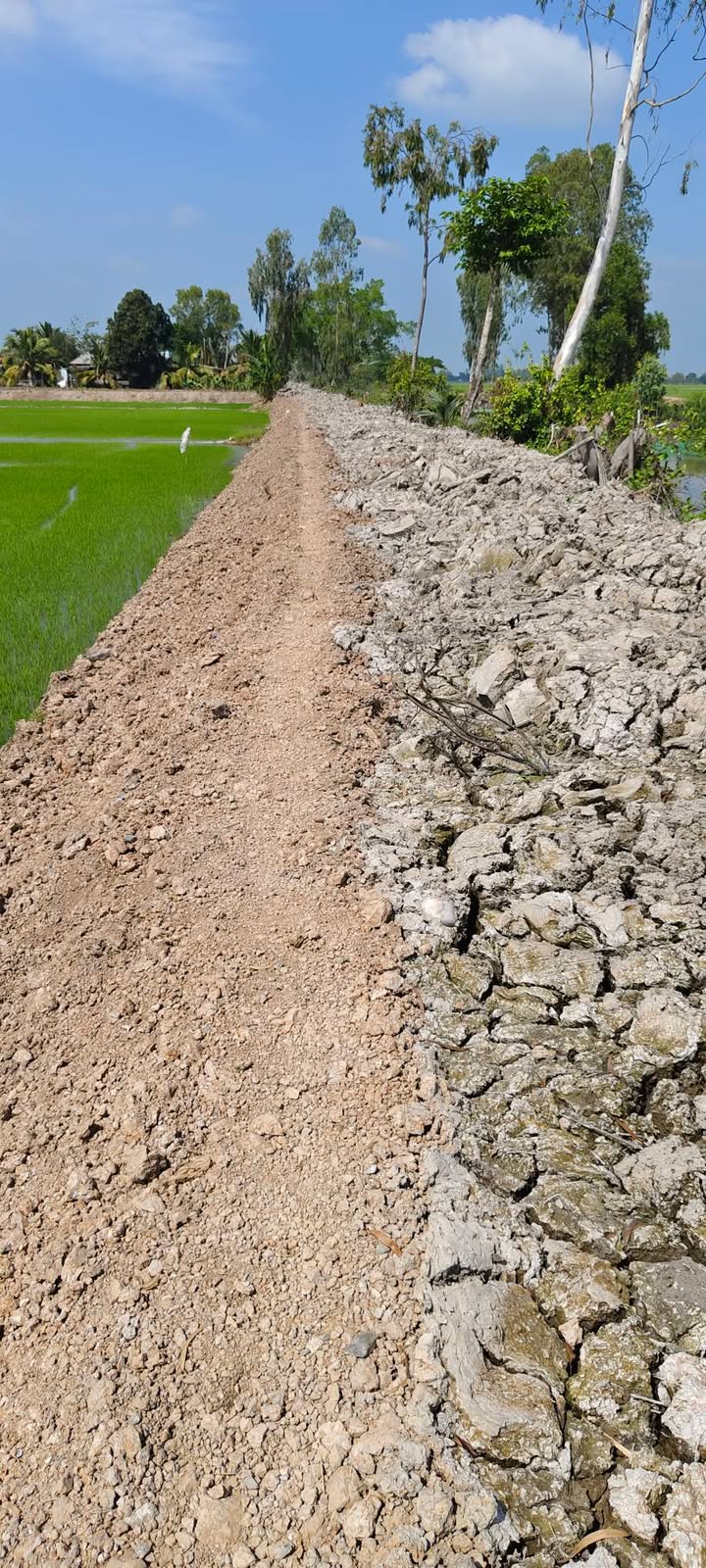 Đất ruộng 20 công mặt tiền kênh Sường tại Định Mỹ, Thoại Sơn - Giá 2.8 tỷ VND