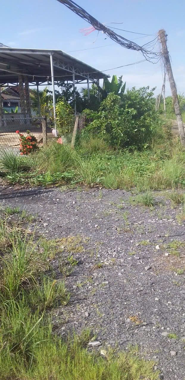 Đất ở nông thôn Mỹ Lộc, Cần Giuộc 72m² giá 690 triệu - Pháp lý sổ hồng chính chủ!