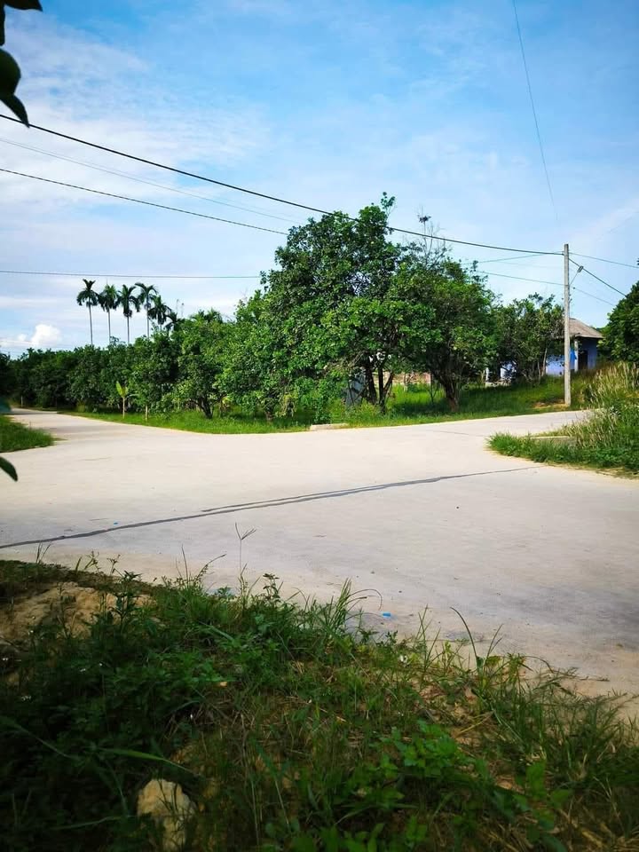 Đất vườn Buồng Tằm, Dương Hòa 1000m² giá 900 triệu - Phù hợp làm farm nghỉ dưỡng!