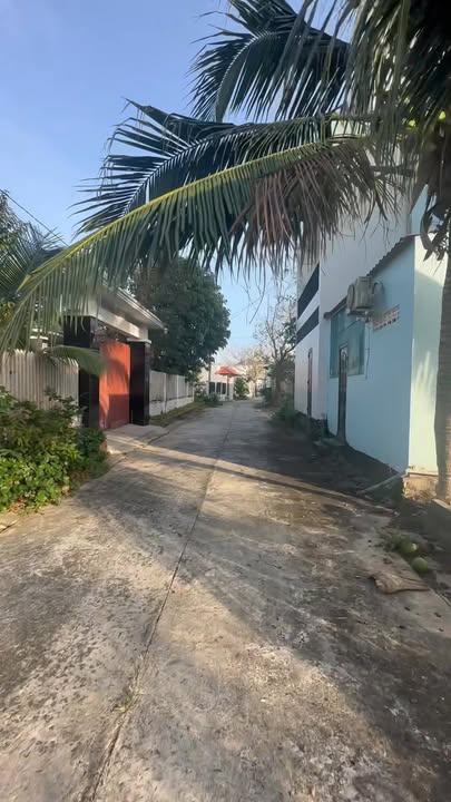 Đất nền Cây Thông Trong Phú Quốc 115m² chỉ 750 triệu - Đầu tư sinh lời ngay!