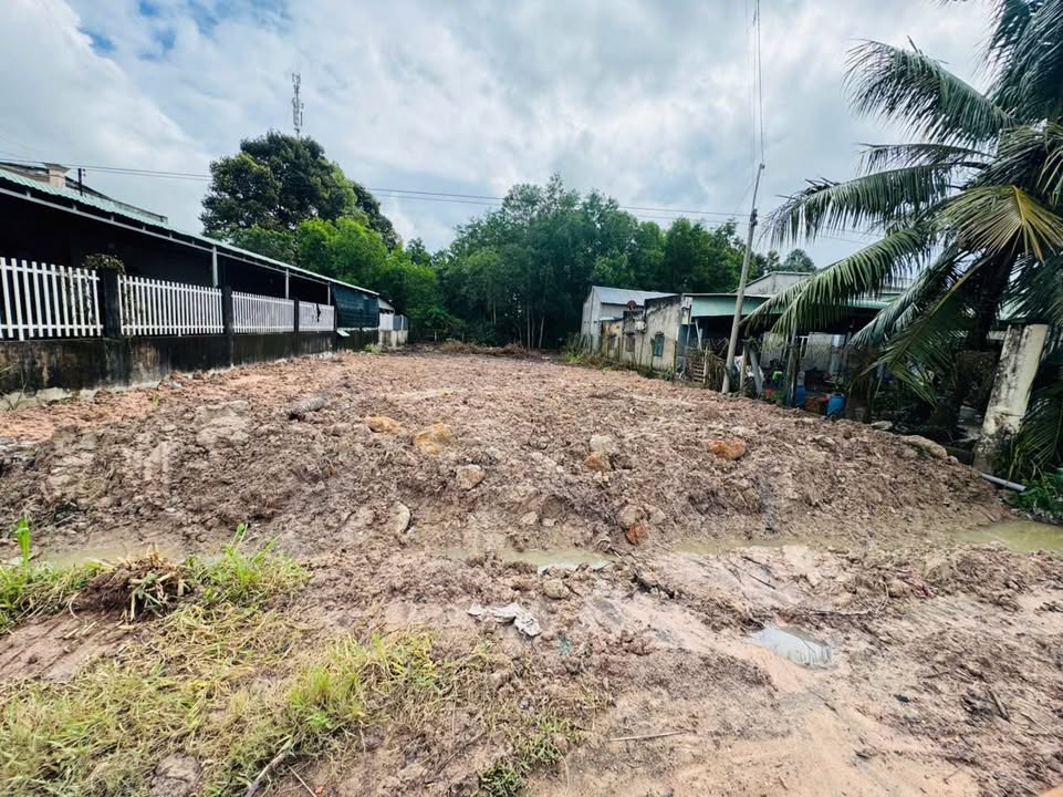 Đất Hảo Đước, Châu Thành, Tây Ninh 555m² giá 1.125 tỷ - Mặt tiền đường Hương Lộ 4 sầm uất!