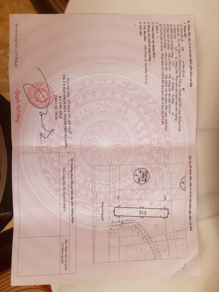 Bán lô đất Hùng Thắng Hạ Long 125m² - Vị trí đẹp cho kinh doanh