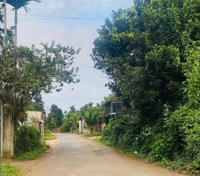 Đất thổ cư Tân Lập, Buôn Ma Thuột 350m² giá 2.8 tỷ - Cơ hội đầu tư tuyệt vời!