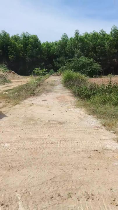 Đất nền Chợ Chùa, Nghĩa Hành 120m² giá chỉ 400 triệu - Đầu tư sinh lợi ngay!