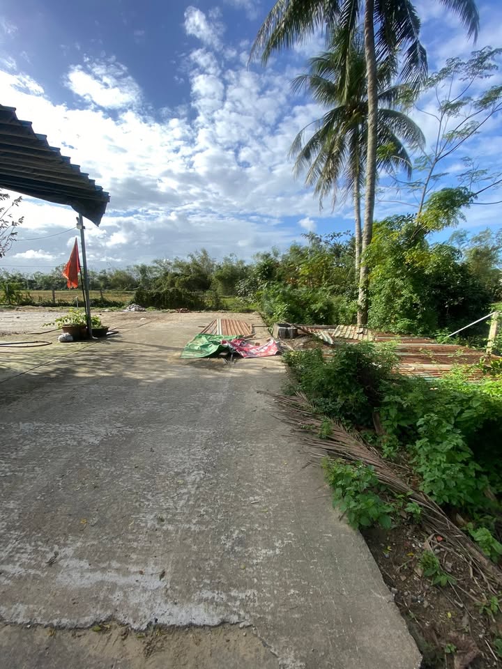 Đất nền Cẩm Lệ Đà Nẵng 100m² giá 1.3 tỷ - Vị trí thuận lợi gần bệnh viện!