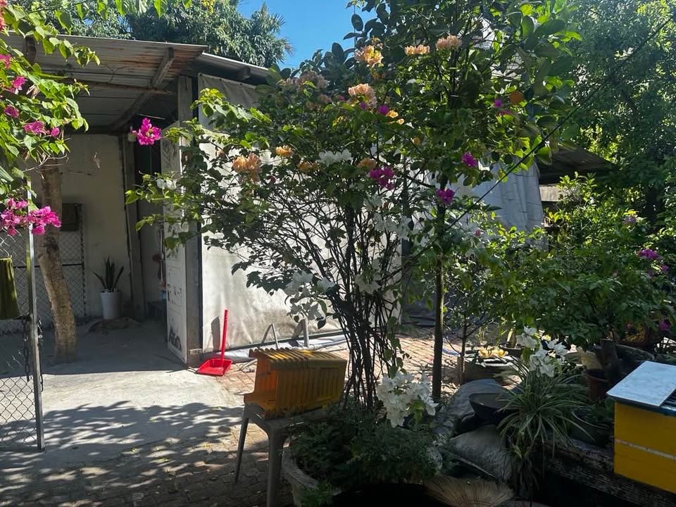 Nhà mặt tiền đường Bình Kỳ Đà Nẵng 142m² giá 5 tỷ - Cơ hội đầu tư tuyệt vời!