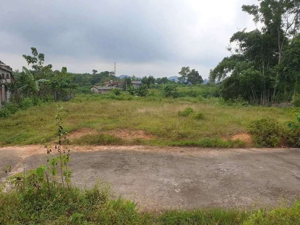 Đất nền Phúc Xuân Thái Nguyên 134m² - Mặt tiền 7m, cơ hội đầu tư hấp dẫn!