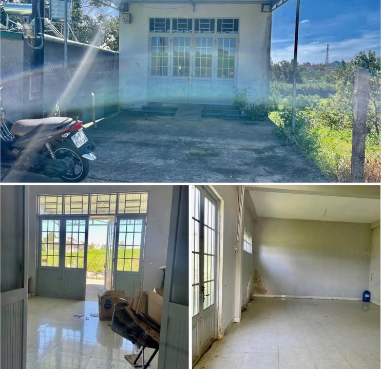 Nhà cho thuê Hẻm 96 Lý Thái Tổ, Đam Bri 3600m² - Giá chỉ 3 triệu/tháng!