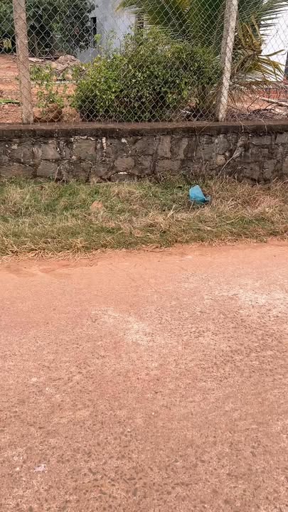 Đất 2 mặt tiền thôn 4 Đắk Môl, 1369m², giá 1.481 tỷ - Cơ hội đầu tư tuyệt vời!