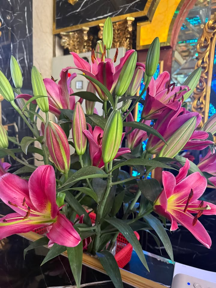 Đất nền Xuân An, Nghi Xuân 156.1m² giá 1.6 tỷ - Cơ hội đầu tư sinh lời!