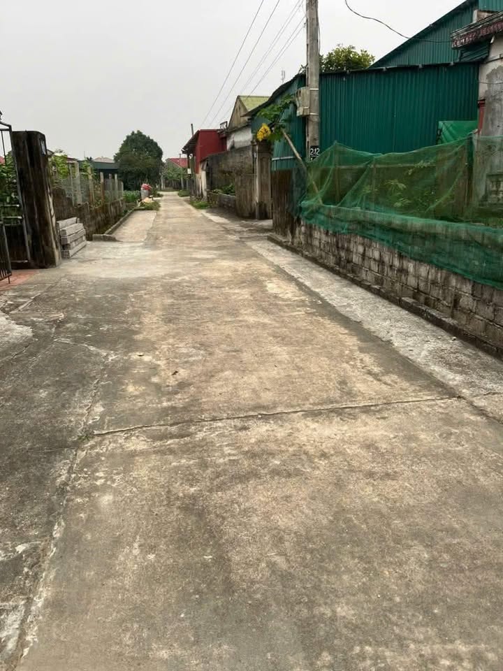 Đất thổ cư Thăng Long 160m² giá 400 triệu - Cơ hội đầu tư hấp dẫn!