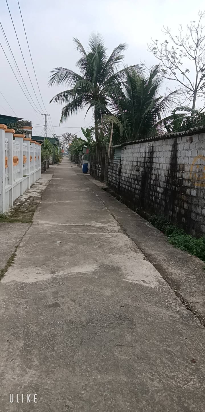 Đất nền Yên Thọ Như Thanh 151m² giá rẻ - Cơ hội đầu tư tốt!