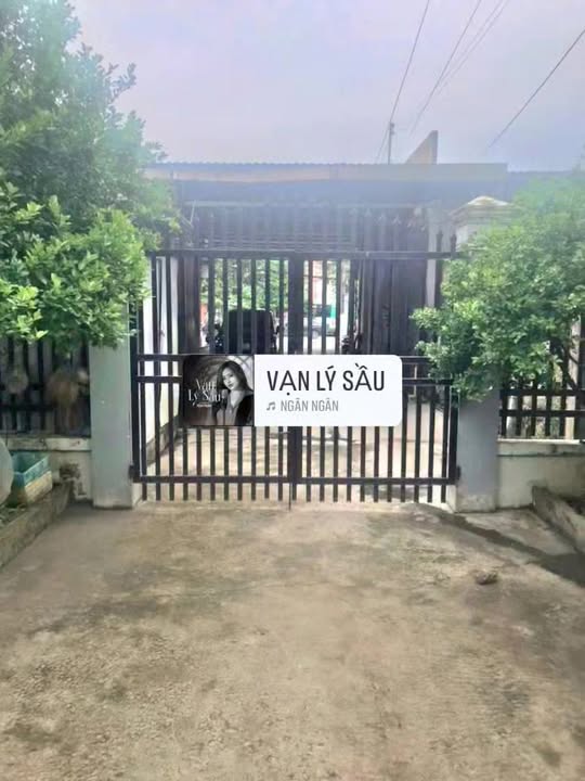 Bán đất và nhà mặt tiền đường 23/8, Phường 7, Bạc Liêu 533m² - Vị trí đắc địa cho kinh doanh!