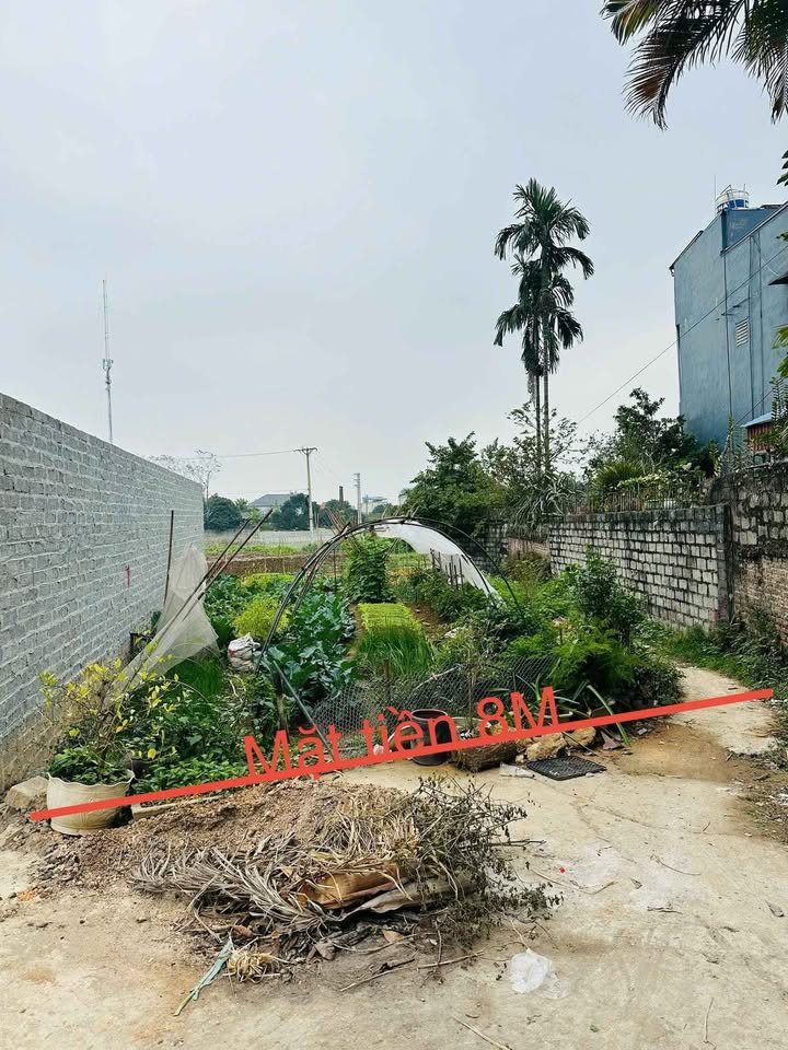 Lô đất Linh Sơn Đồng Hỷ 115m² giá 2 tỷ - Chính chủ bán nhanh!