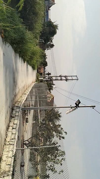 Bán Farm nghỉ dưỡng Lập Lễ - Thủy Nguyên 3290m² giá 2 tỷ - Không gian lý tưởng cho gia đình!