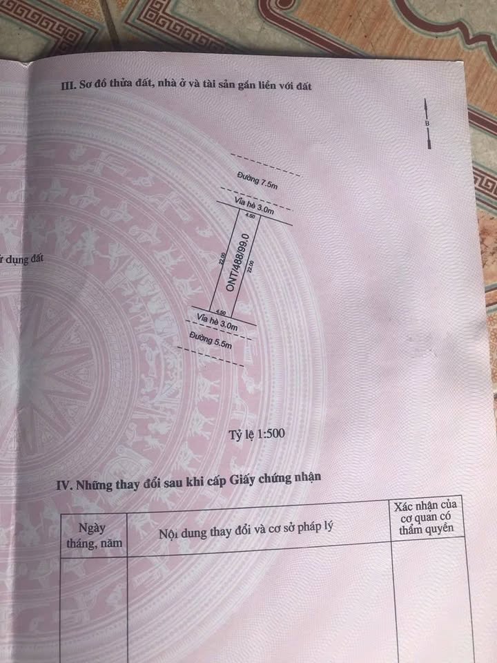 Đất nền KDC Trần Xá Nam Hưng 99m² - Đầu tư sinh lời ngay!