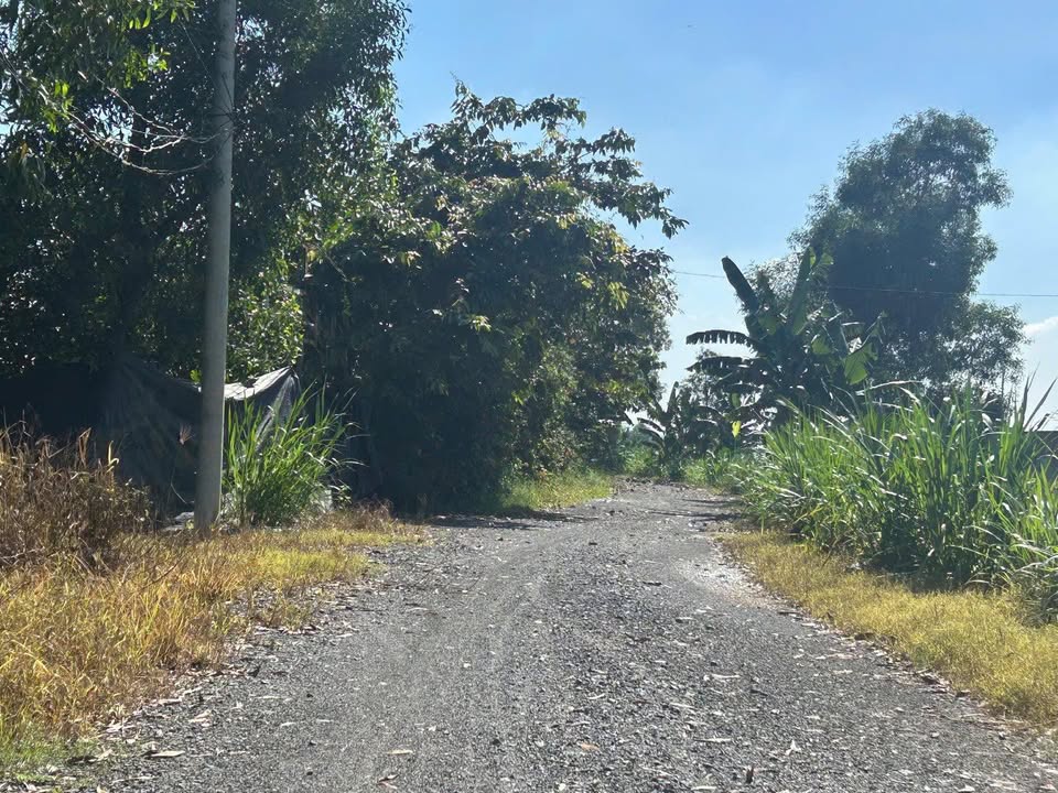 Đất nền xã Bà Điểm Hóc Môn 8000m² giá 16 tỷ - Cơ hội đầu tư hiếm có!