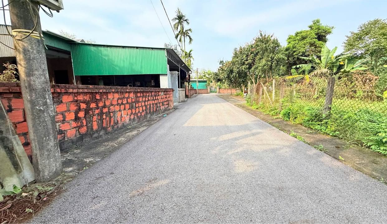 Đất Thổ Cư Thôn Đông Nam, Thạch Bình 120m² giá 1 tỷ - Cơ hội đầu tư tuyệt vời!