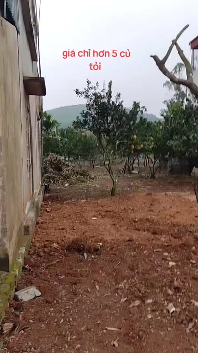 Đất thổ cư 1200m² mặt đường Quốc Lộ 12B, Tân Lạc, Hòa Bình - Giá chỉ 5 tỷ!