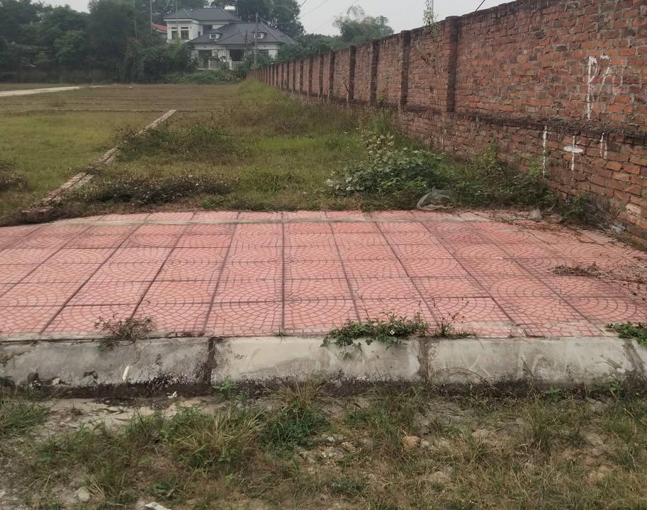 Đất Yên Tàng Bắc Phú Sóc Sơn 86m² giá 2 tỷ - Đầu tư sinh lời hấp dẫn!