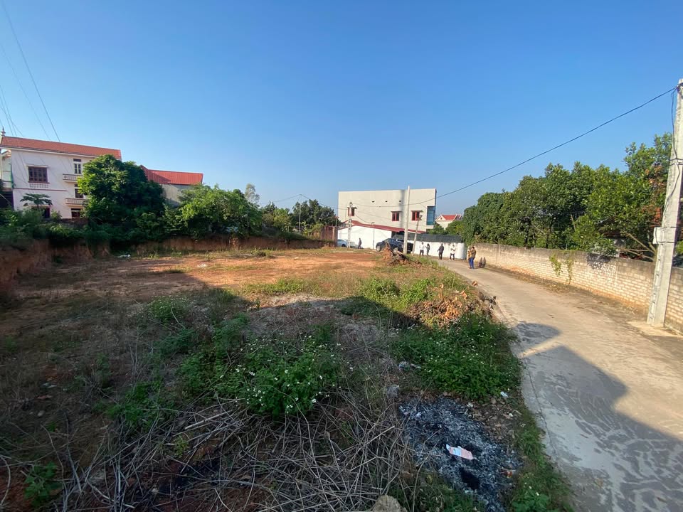 Đất nền Tân Dĩnh Lạng Giang 139m² giá thỏa thuận - Cơ hội đầu tư hấp dẫn!