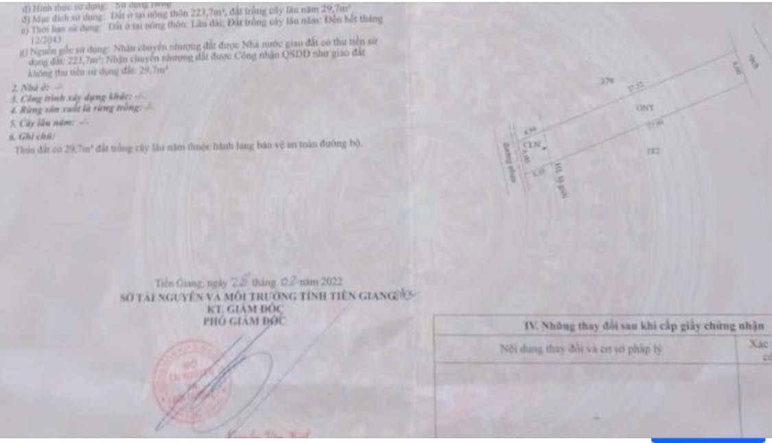 Đất mặt tiền đường nhựa 534m² tại Bình Xuân, Gò Công - Giá chỉ 1.3 tỷ!