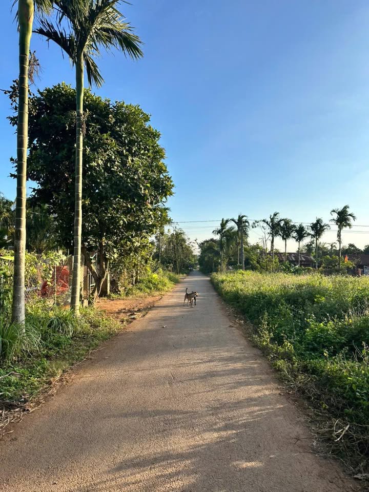 Đất nền Ea Tul 9000m² giá 409 triệu - Cơ hội đầu tư tuyệt vời!