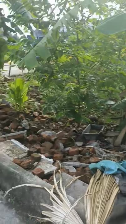 Đất nền đẹp Vạn Thiện, Nông Cống 152m² - Giá tốt thỏa thuận!