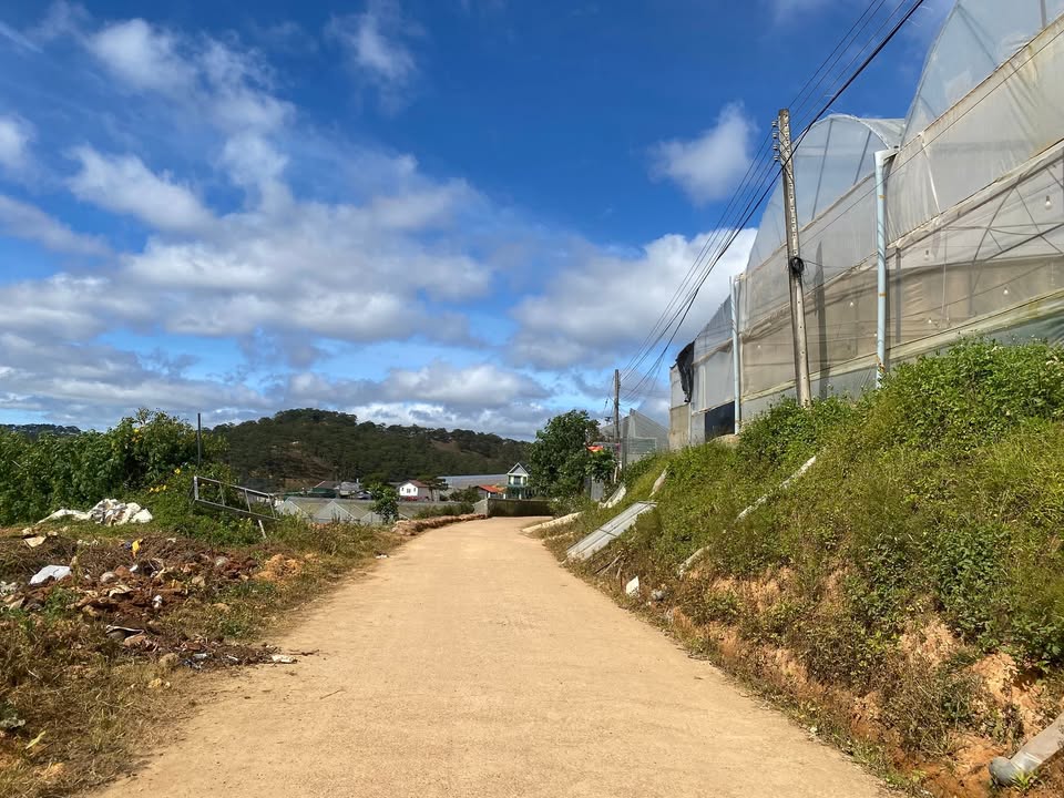 Đất nền tại phường LangBiang, Đà Lạt, 565m² giá 5,8 tỷ - Đầu tư lý tưởng cho nghỉ dưỡng!