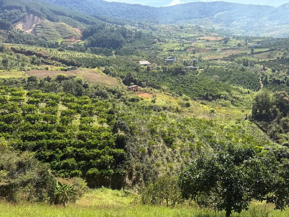 Đất nền Đông Thanh Lâm Hà 1,3ha giá 50.745 tỷ - Sổ đỏ chính chủ, đầu tư sinh lời!