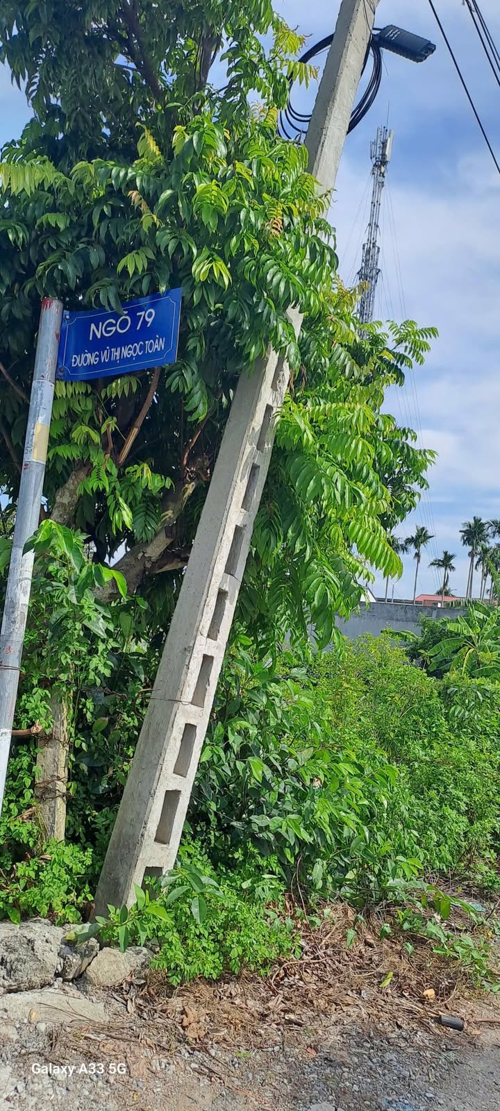 Đất thổ cư Hòa Nghĩa Dương Kinh 600m² - Sổ đỏ chính chủ, giá rẻ như đất ruộng!