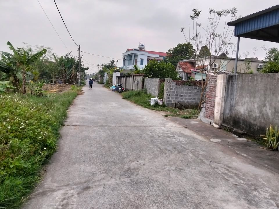 Lô đất Thụy Trình Thái Thụy 85m² giá chỉ 1.3 tỷ - Sổ đỏ chính chủ ngay trung tâm!