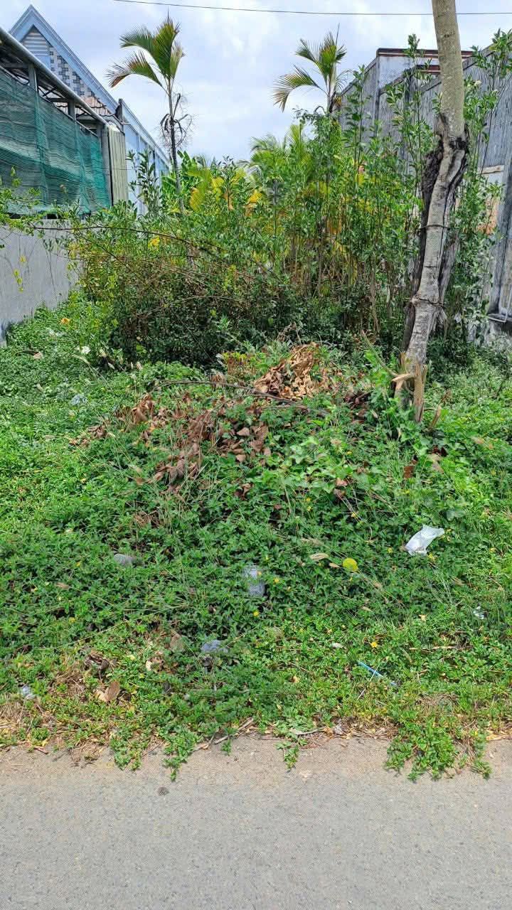 Đất nền mặt tiền Quốc Lộ 1A, phường Láng Tròn, 391m² - Cơ hội đầu tư vàng!