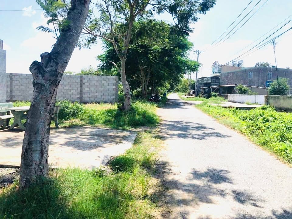 Đất thổ cư 345m² tại Tân Thạnh Đông, Củ Chi - Quy hoạch đất ở, giá tốt!