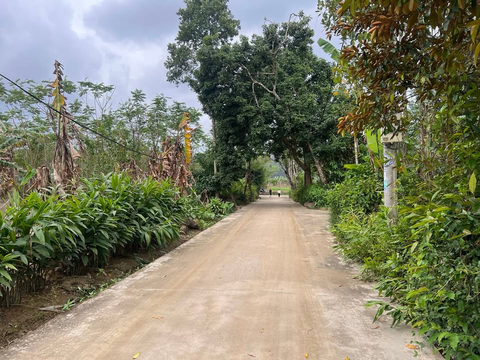 Đất vườn Hương An Thừa Thiên Huế 148.6m² giá 800 triệu - Đường betong ô tô tận nơi!