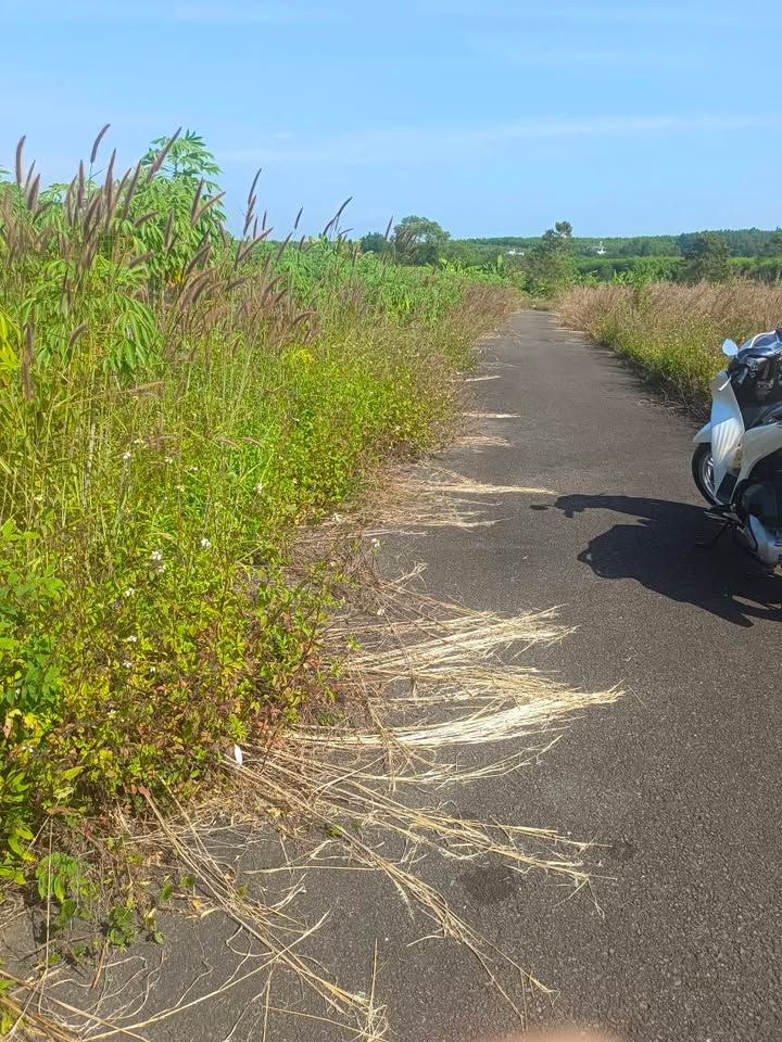 Đất nền Xuân Đường Cẩm Mỹ 1368m² giá 2.35 tỷ - Đường nhựa 5m thuận tiện!