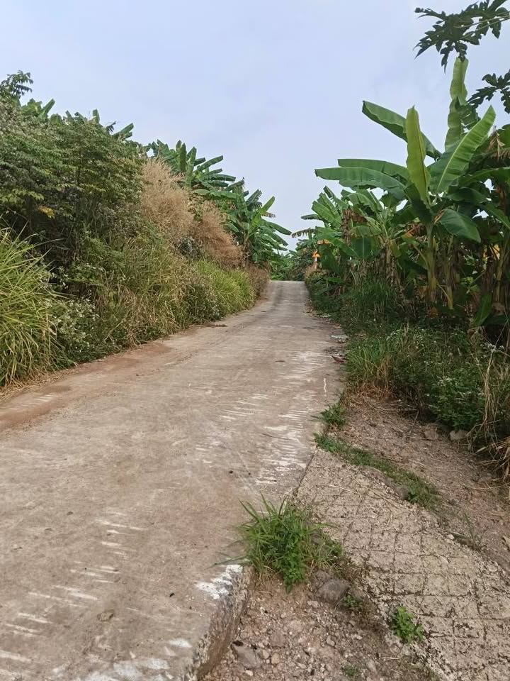 Đất thổ cư Dầu Giây 2.668m² giá 667 triệu - Cơ hội đầu tư tuyệt vời!