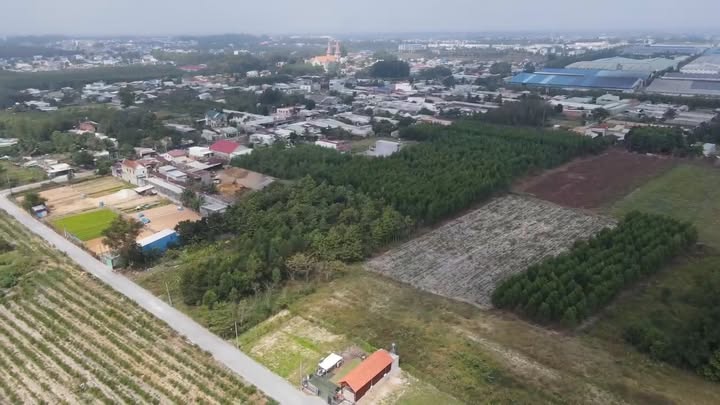 Nhà gỗ Đồi 61, Trảng Bom 105m² giá 1.6 tỷ - Gần chợ, trường học!