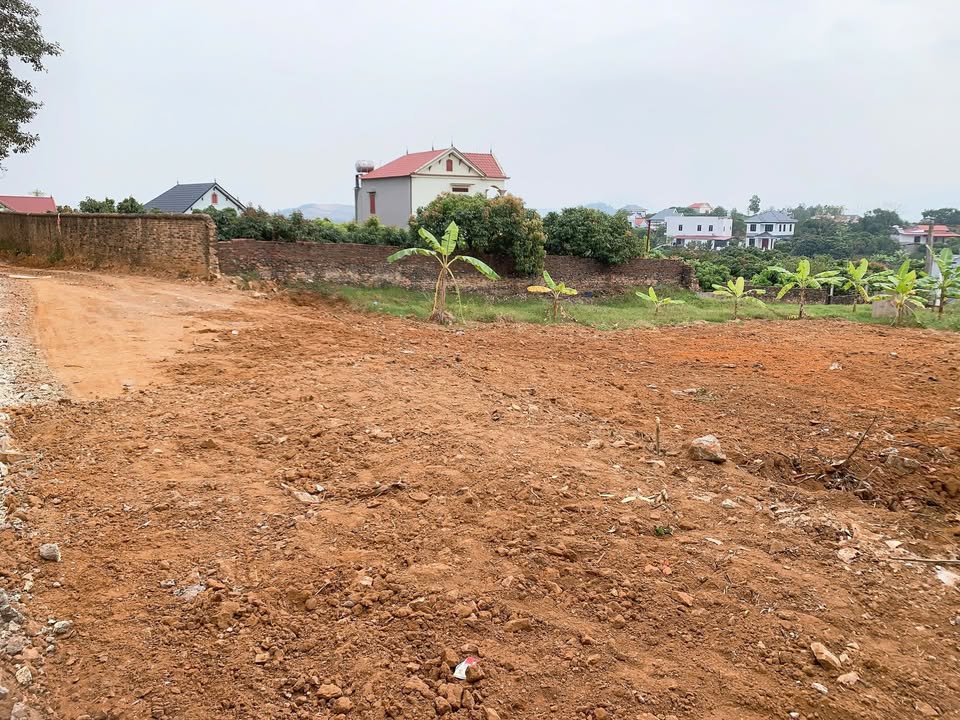 Đất thổ cư Lục Nam Bắc Giang 110m² - Đường thông các ngả, giá thỏa thuận!