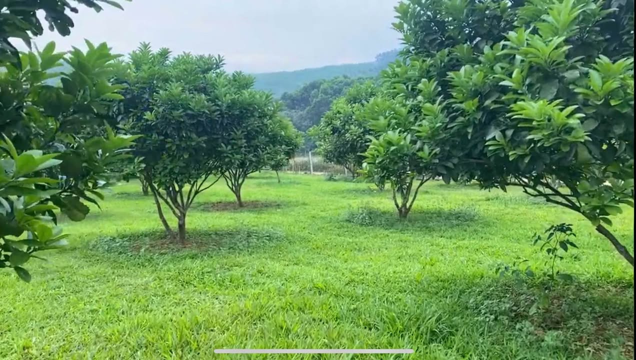 Đất nền Mỹ Hòa, Tân Lạc, Hòa Bình 511m² giá 500 triệu - Không khí trong lành, phong thủy tốt!