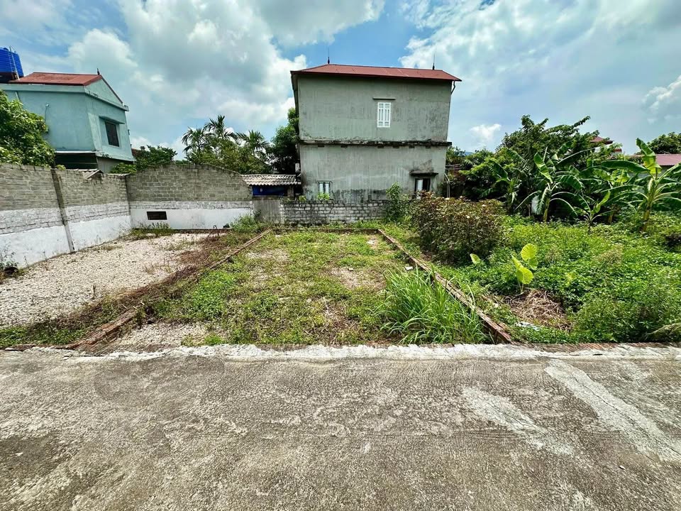 Đất thổ cư An Mỹ, Mỹ Đức 61.5m² chỉ 800 triệu - Cơ hội đầu tư tuyệt vời!