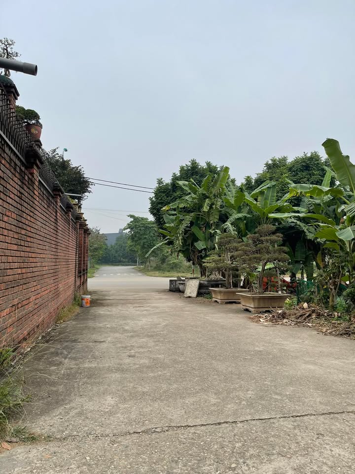 Đất Khu 14 – Thanh Miếu, Việt Trì 75,3m² giá thỏa thuận - Đường thông ô tô tránh nhau!