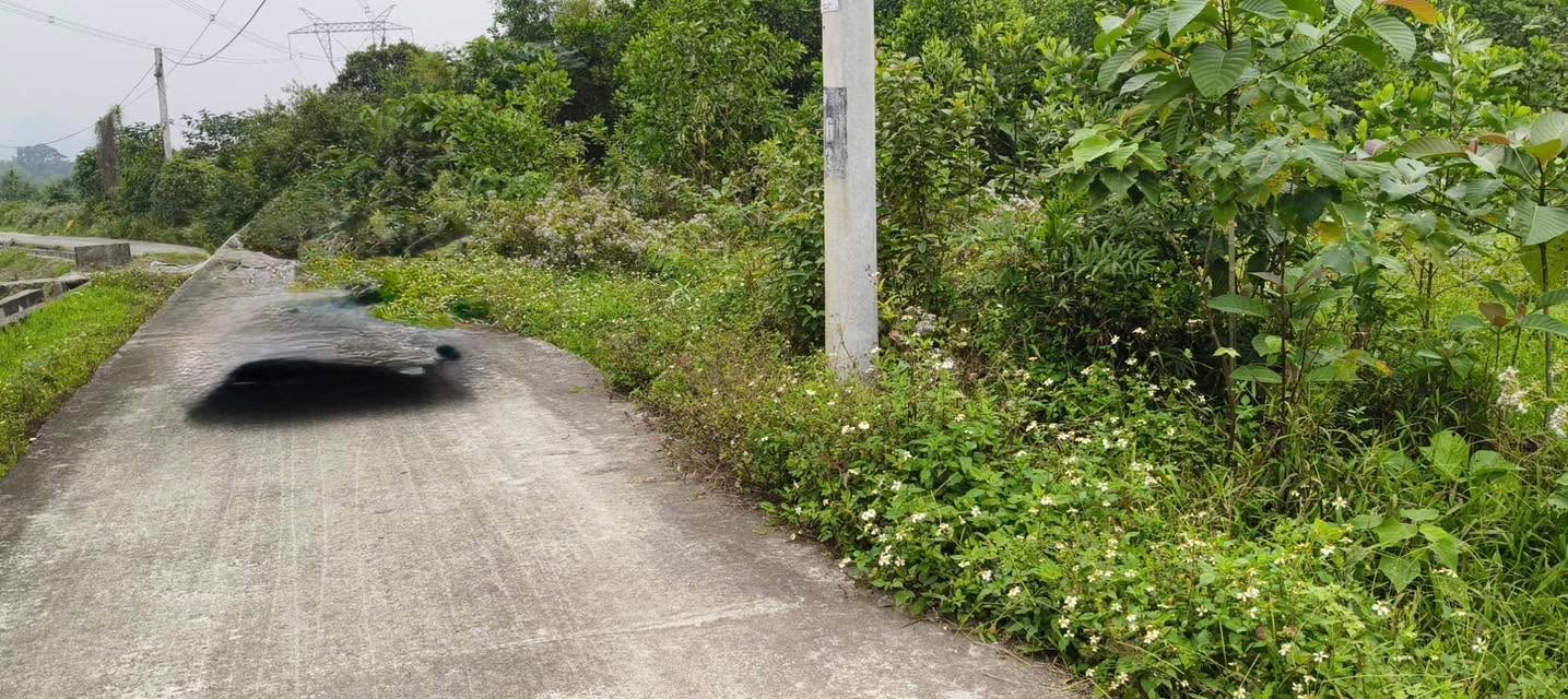 Đất nền Gia Sơn Nho Quan 205.2m² giá 400 triệu - Cơ hội đầu tư hấp dẫn!