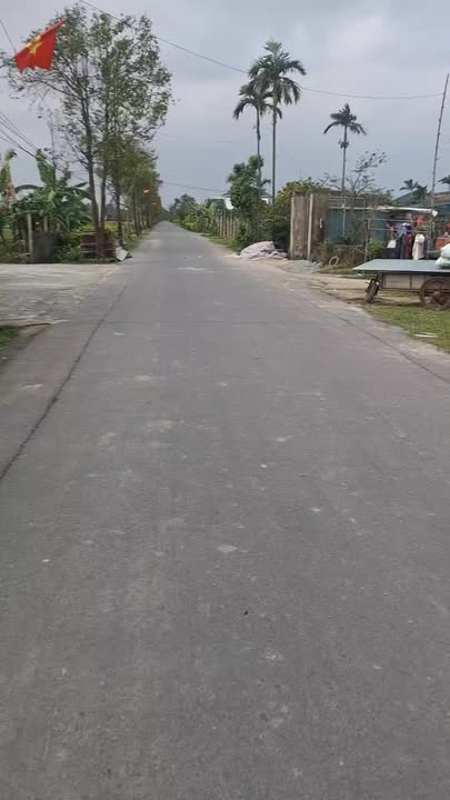 Đất nền Cẩm Bình 300m² giá 800 triệu - Vị trí đắc địa gần chợ!