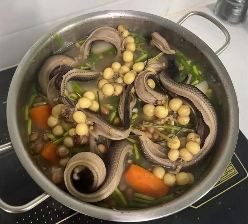 Đất nền Thạnh Lộc Q12 1600m² giá 22 triệu/m² - Cơ hội đầu tư sinh lời cao!