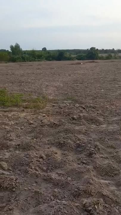 Lô đất 53 héc ta tại xã Tân Lập, huyện Hàm Thuận Nam - Giá tốt, pháp lý rõ ràng!