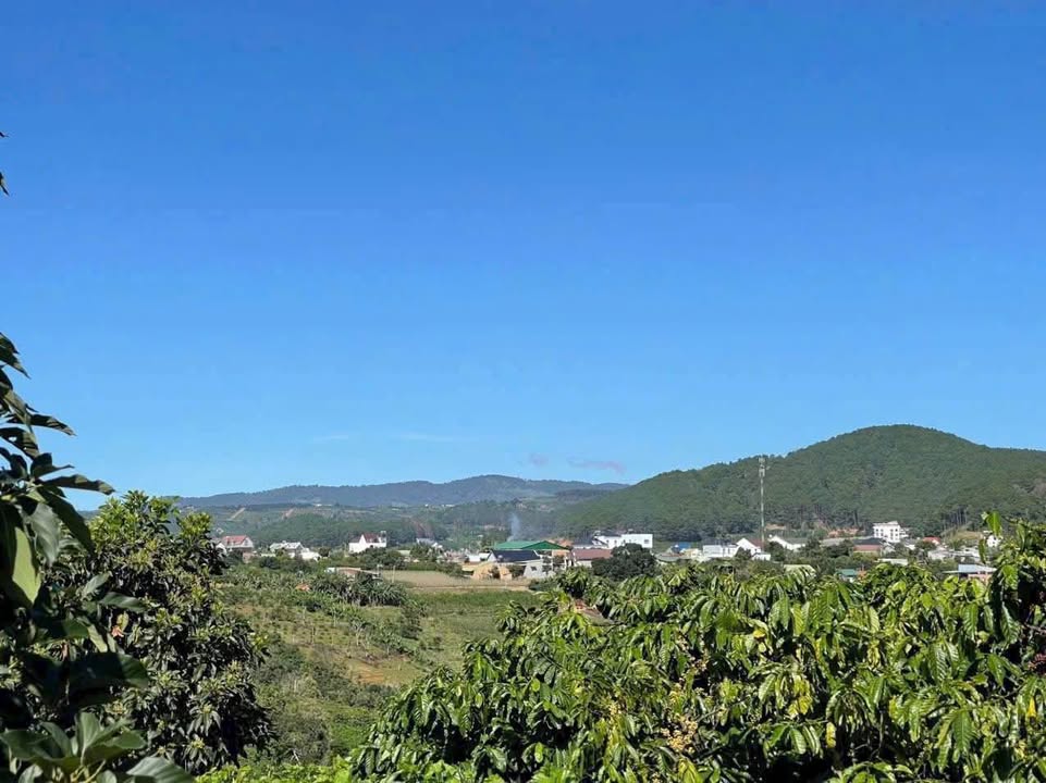 Đất nền Nam Ban Lâm Hà 999m² giá 2.25 tỷ - View đẹp và không khí trong lành!