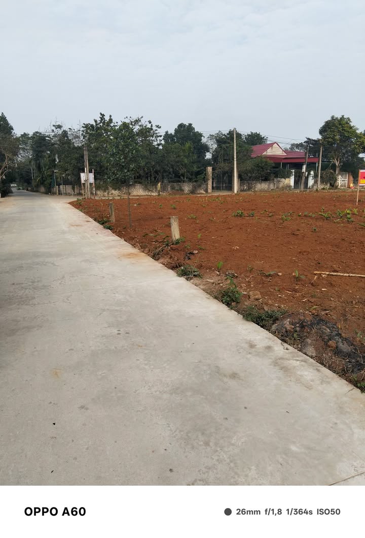 Đất nền Thôn Vạn Thành, xã Thăng Long, huyện Nông Cống, 100m² - Cơ hội đầu tư hấp dẫn!